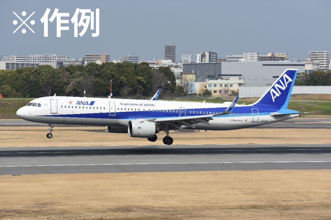 レンズ(ズーム) AF-S DX NIKKOR 55-200mm f/4-5.6G ED VR