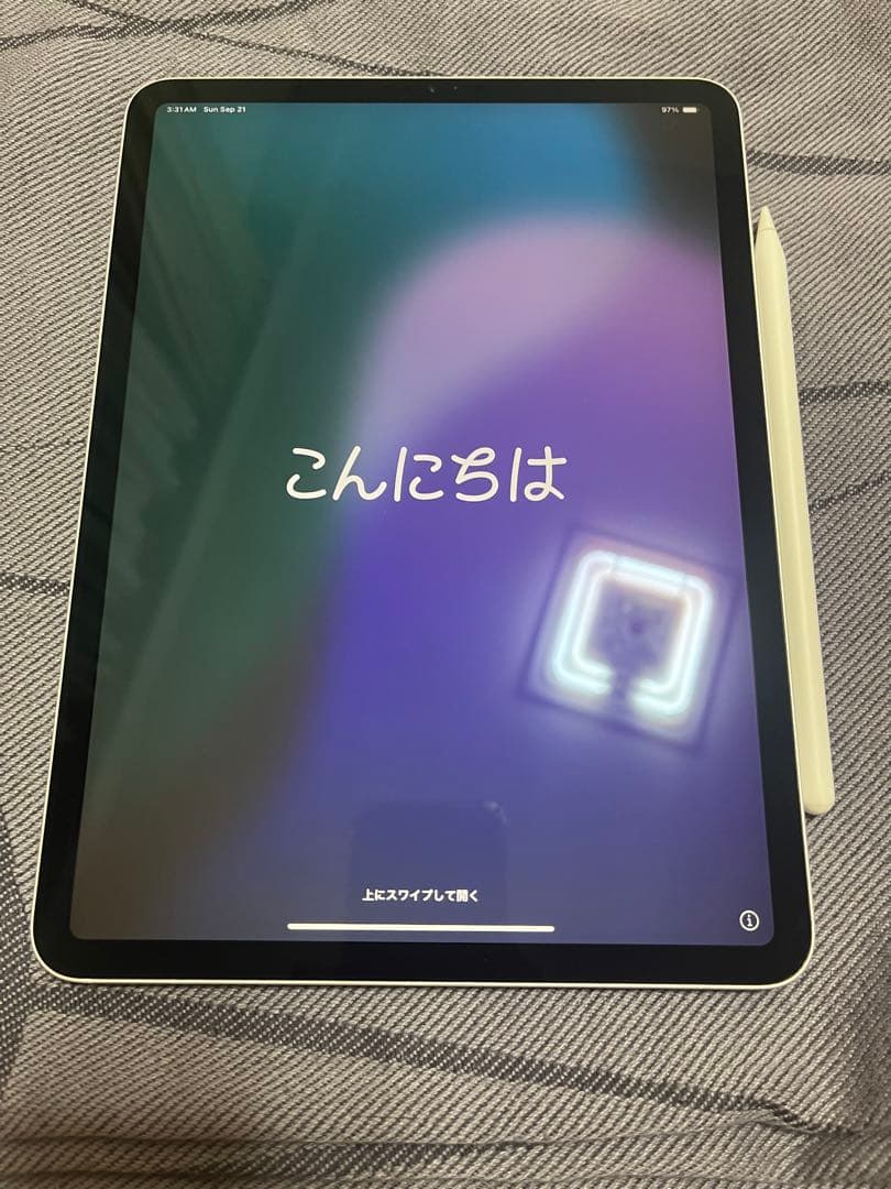 iPad Pro 11インチ第一世代 Apple Pencil ケース付き
