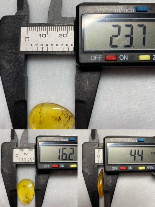 アンバー 琥珀 アカイエカ ユニーク 天然石 虫入り 価値上がる