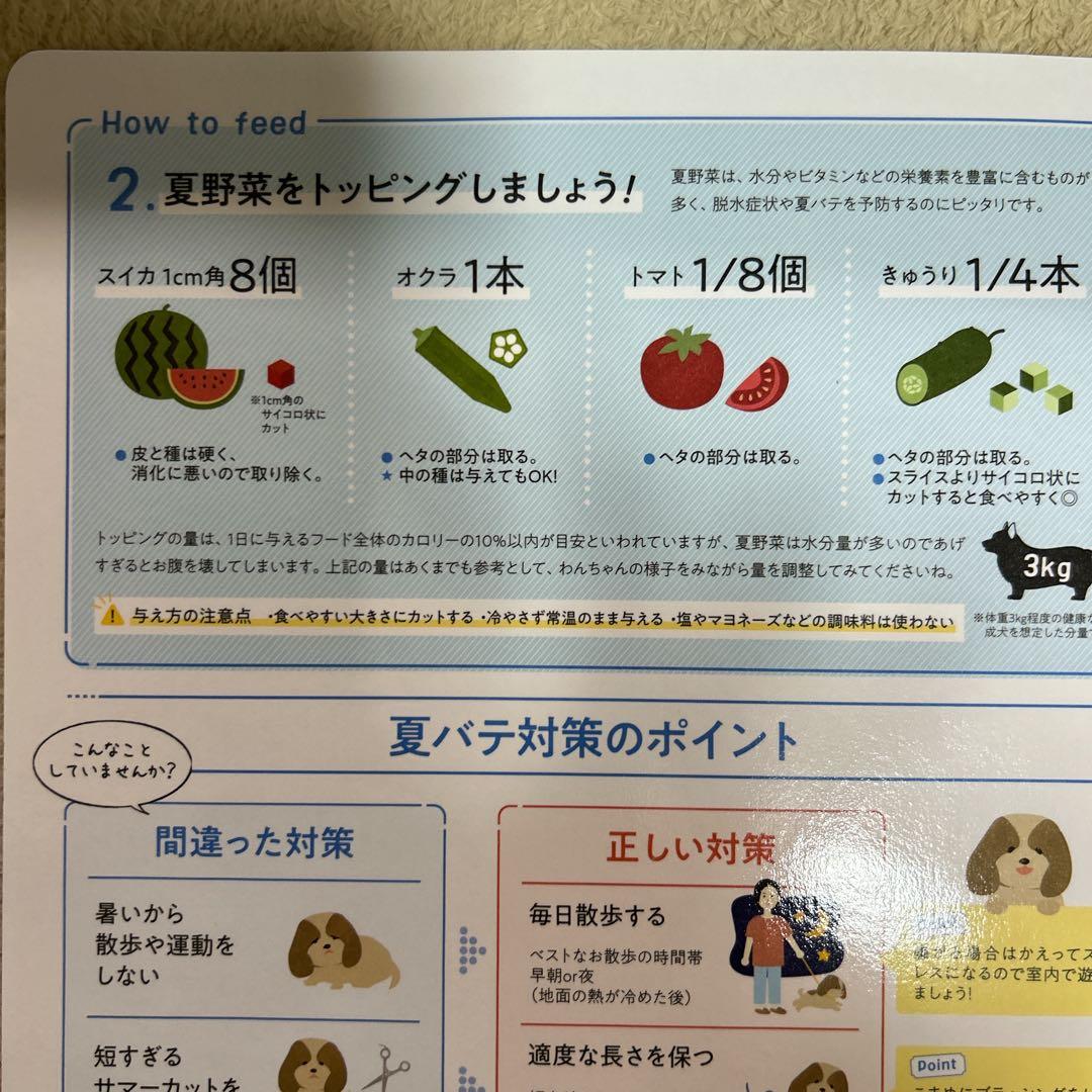 【新品・未開封品】このこのごはん 1kgｘ7袋