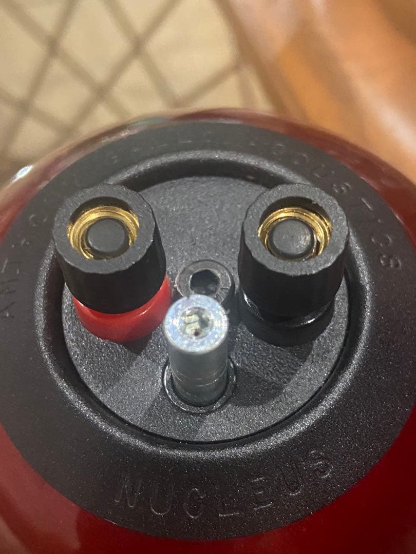 ANTHONY GALLO アンソニーギャロ ２個セット スタンド付