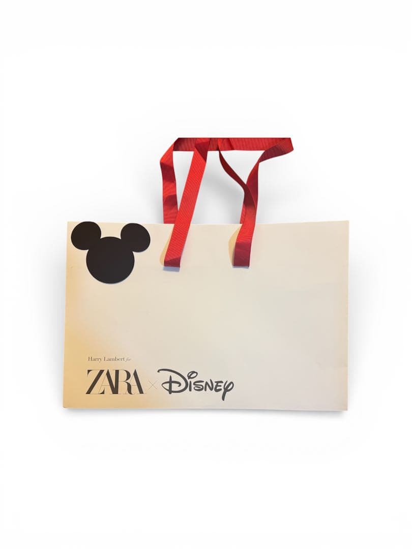 ZARA ディズニー ナナ ピーターパン セーター ハリーランバート S