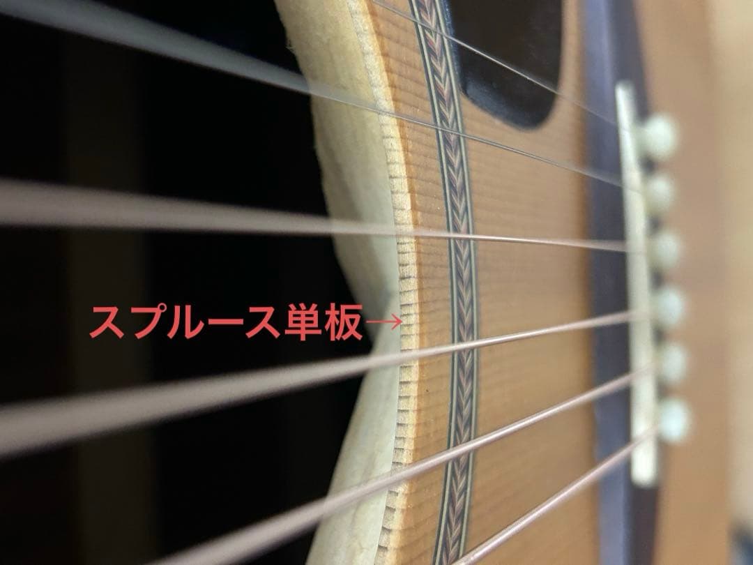 シーガル M6 スプルース　アコースティックギター