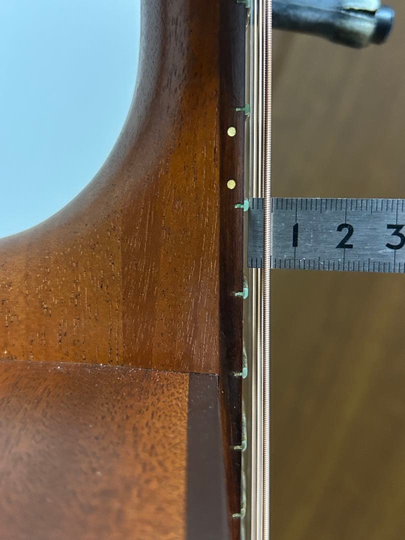 シーガル M6 スプルース　アコースティックギター