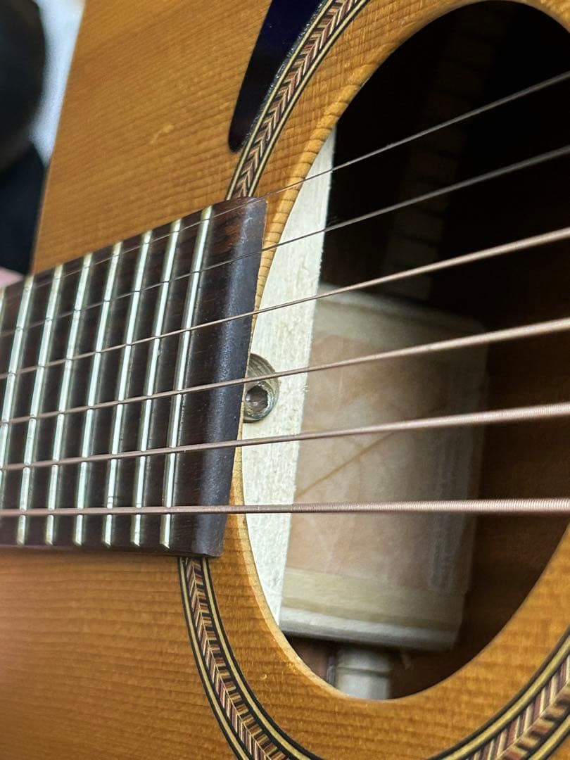 シーガル M6 スプルース　アコースティックギター