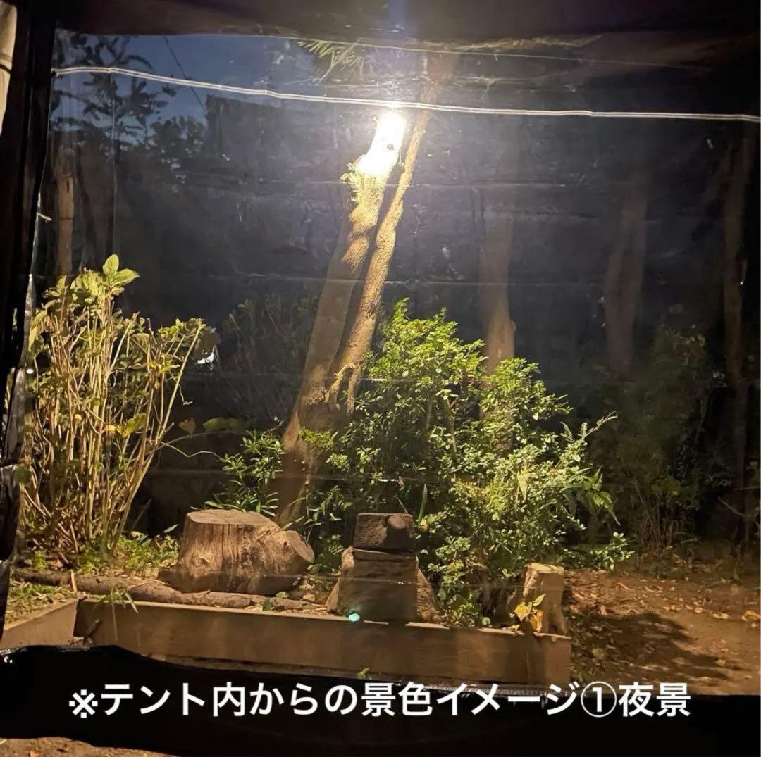 ラスト FUTURE FOX BASE EVO TPU前幕(透明窓)カスタム特注