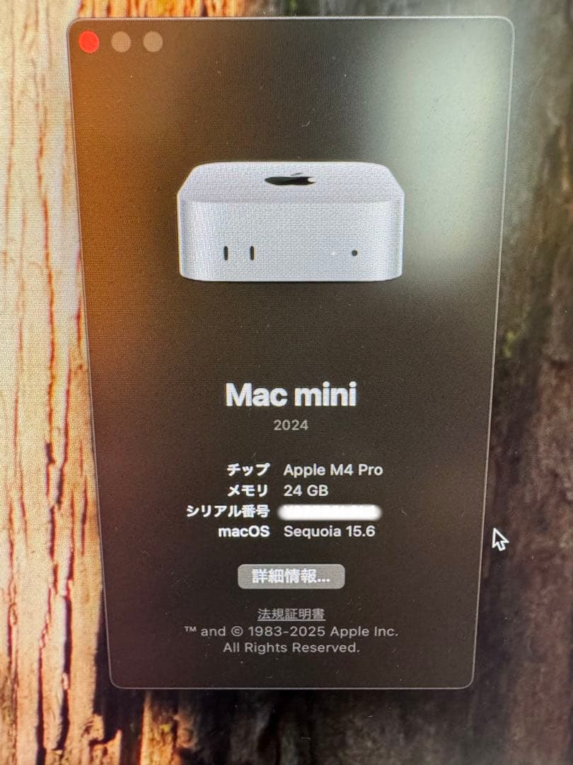 M4Pro Mac mini 2024【A3239】