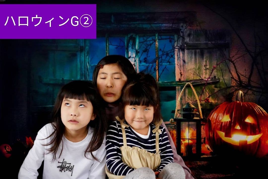 背景布【秋C】サンプル　ペット撮影用　紅葉　イチョウ　トリミングチョーカー販売中