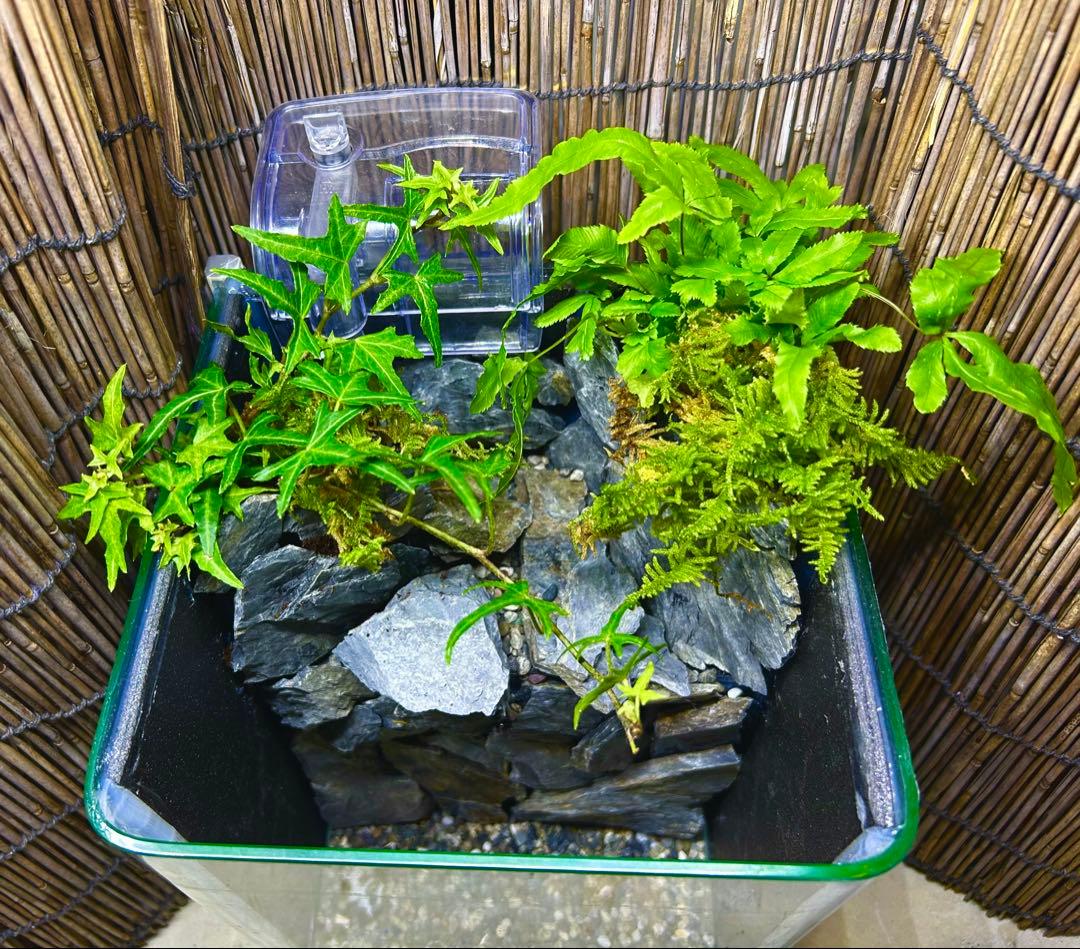水の流れる滝テラリウム水槽