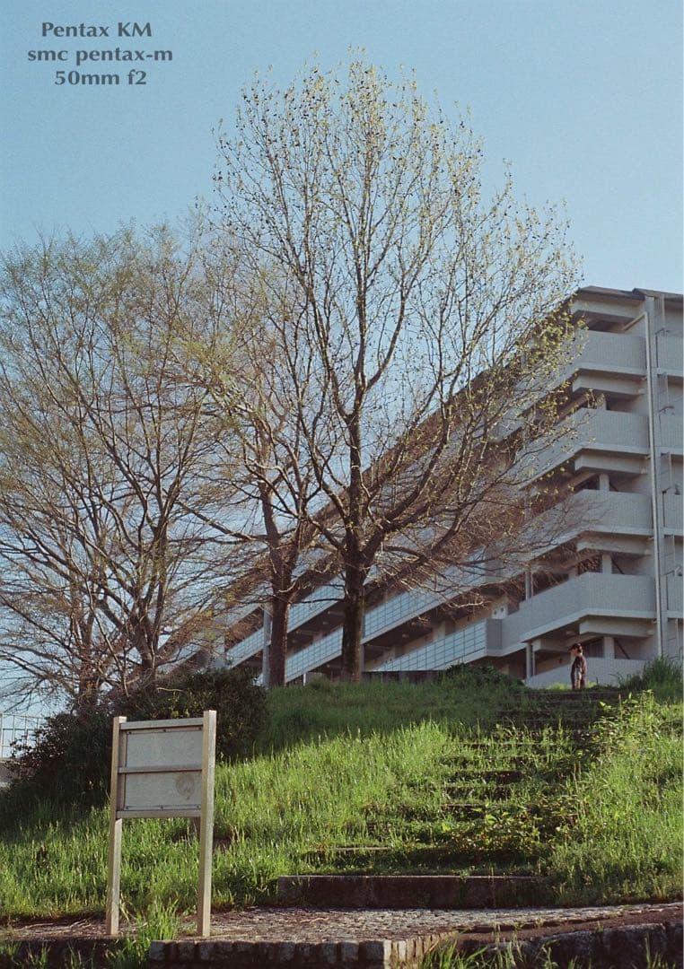 ★完動品＊美品★PENTAX KM／SMC 50mm f2★フィルム入門に！