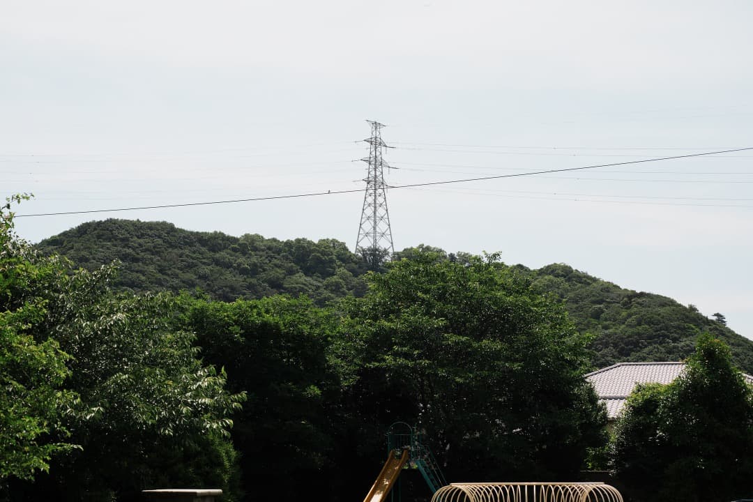 極美品 AF Ai Micor-Nikkor 60mm F2.8D 475