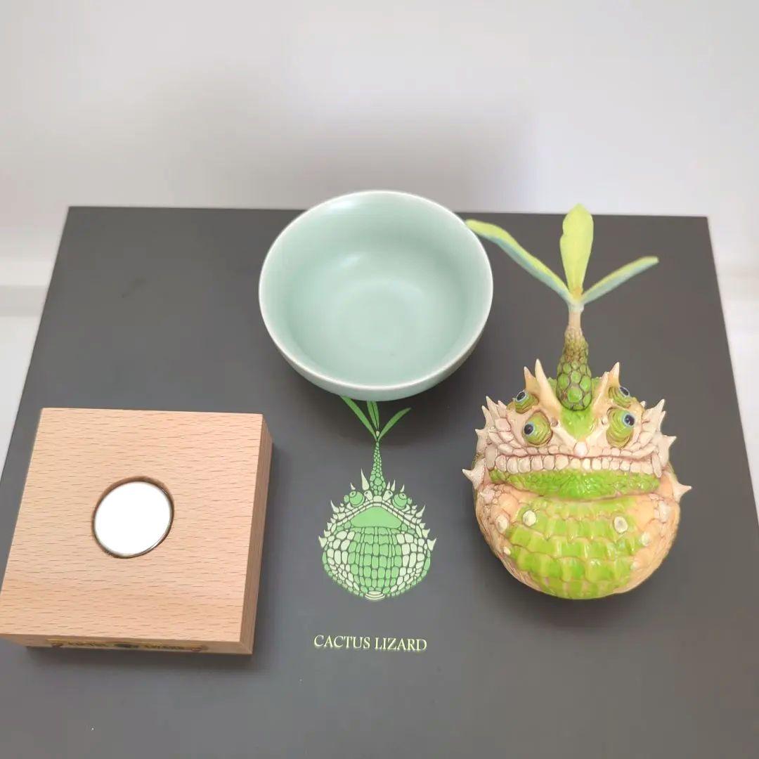 観葉植物　コーデックス　グラキリス　アガベ　オベサ　爬虫類フィギュア