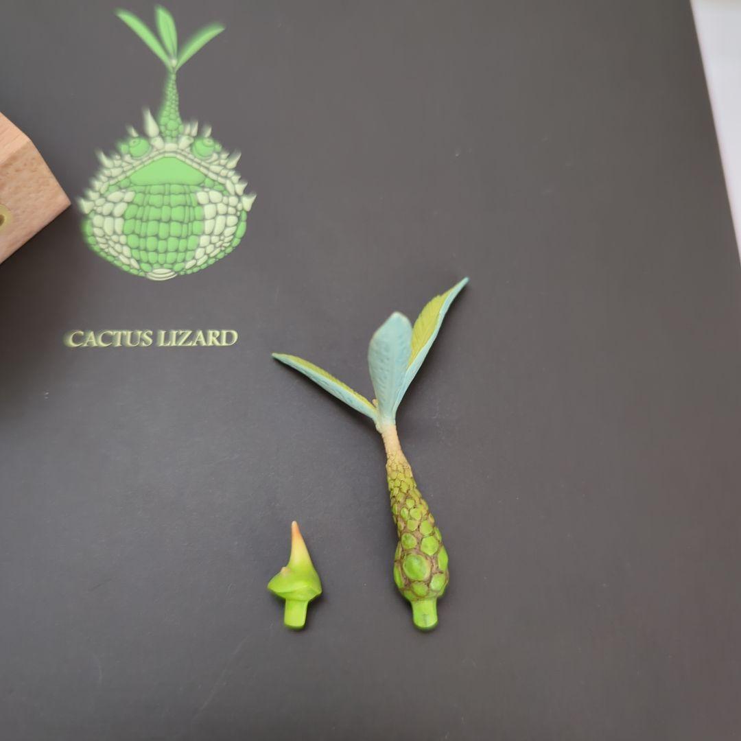 観葉植物　コーデックス　グラキリス　アガベ　オベサ　爬虫類フィギュア