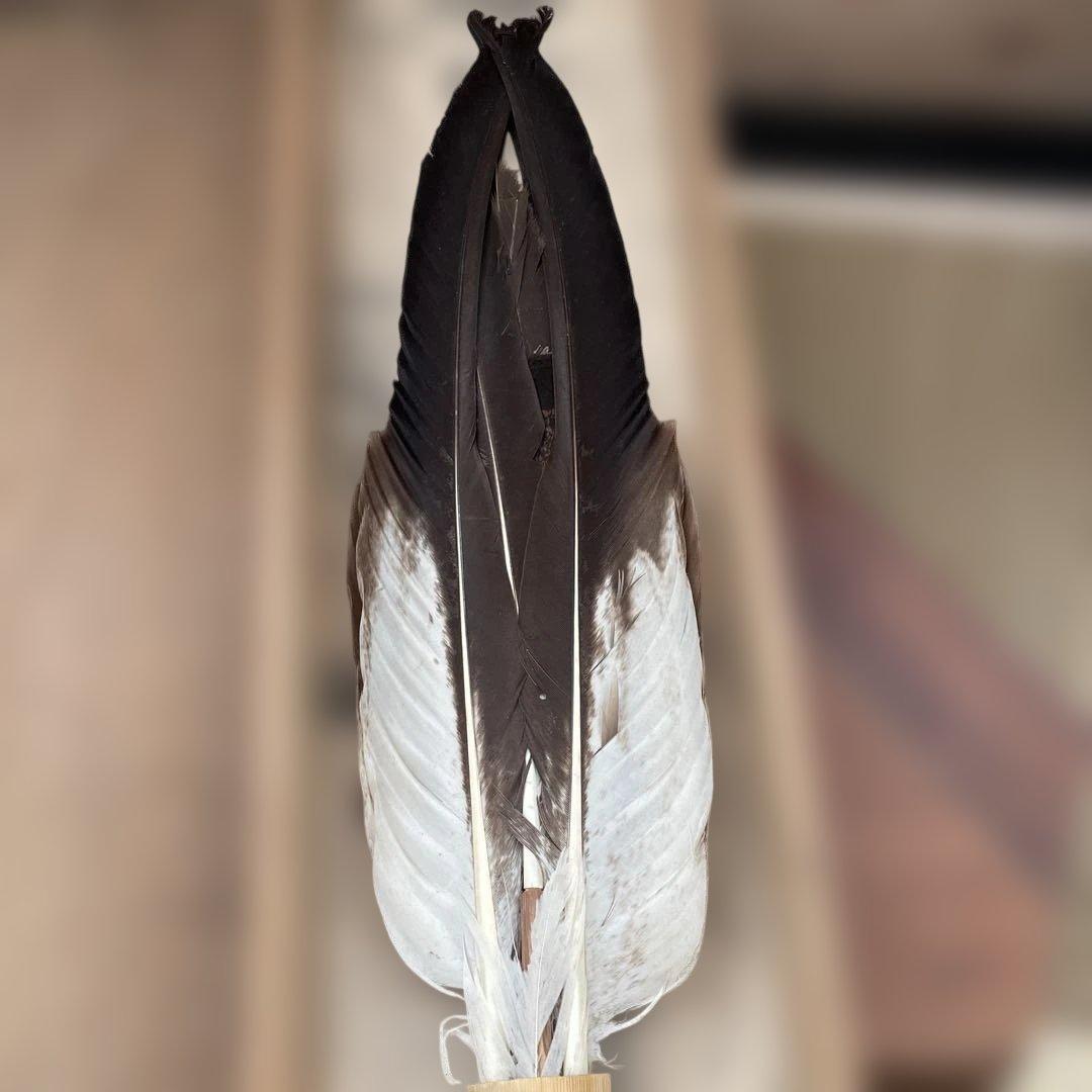 さかもと　特大　座箒　掴み羽箒　茶道具　全長約58cm 共箱付き