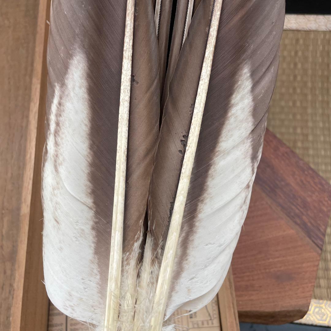 さかもと　特大　座箒　掴み羽箒　茶道具　全長約58cm 共箱付き