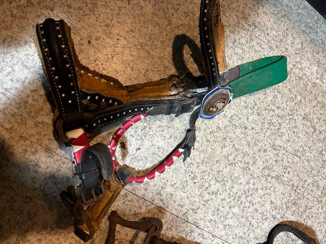 馬具、乗馬、おもがい、くつわ、ハミ、競馬、競争馬