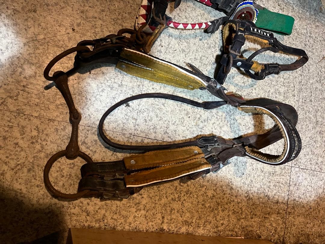 馬具、乗馬、おもがい、くつわ、ハミ、競馬、競争馬