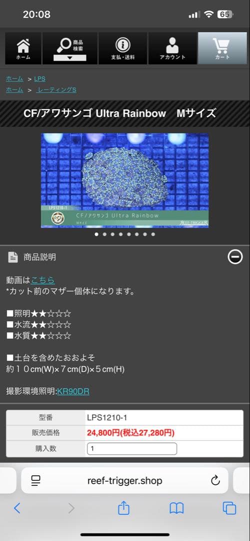 RedSea Reefer170 リーファー 美品　目黒区発送