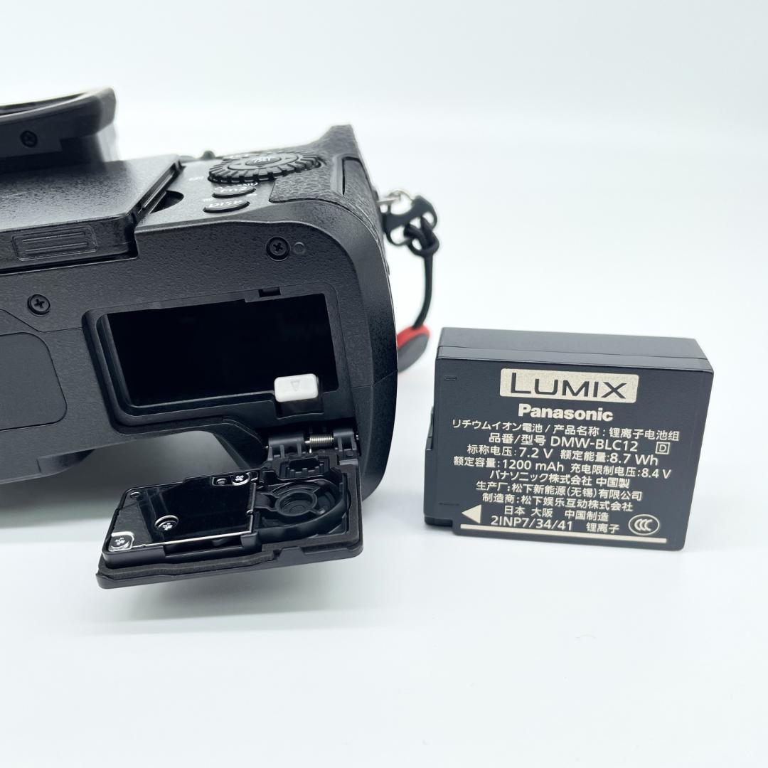 即配【美品】Panasonic LUMIX DC-G99M2 カメラ 送料無料