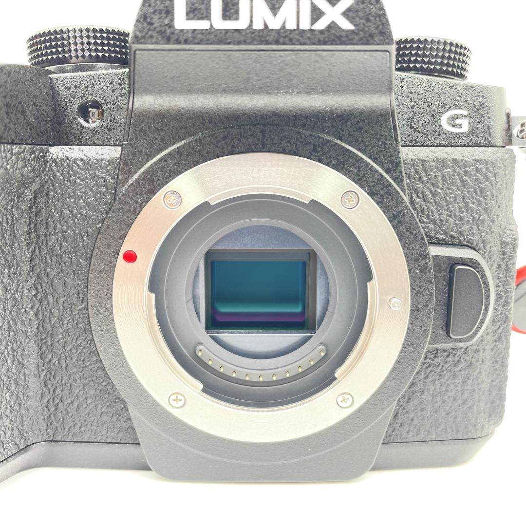 即配【美品】Panasonic LUMIX DC-G99M2 カメラ 送料無料