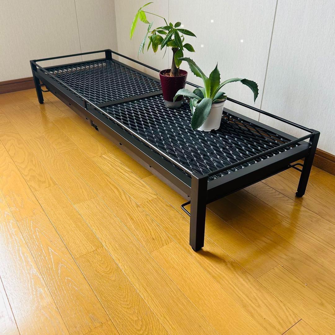 年始セール　植物棚　シェルフ　アガペラック 124cm x 41cm