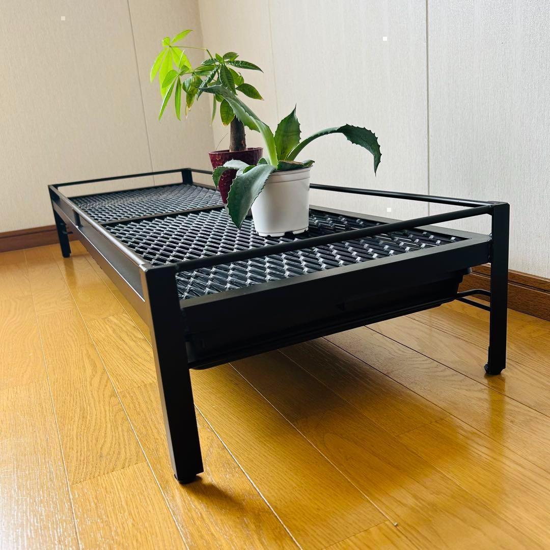 年始セール　植物棚　シェルフ　アガペラック 124cm x 41cm