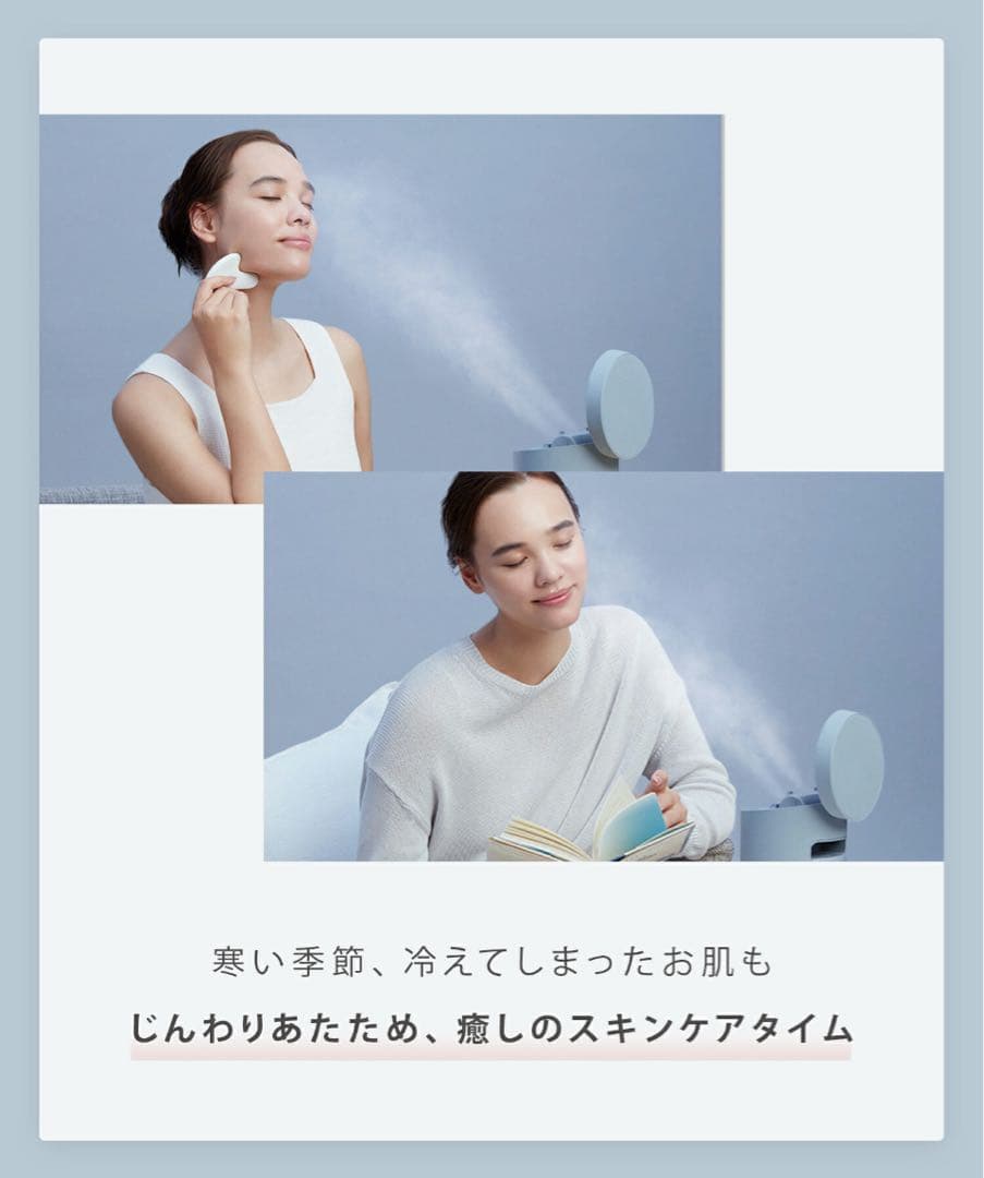 【新品、未使用】SALONIA ピュアブライトスチーマ　グレー