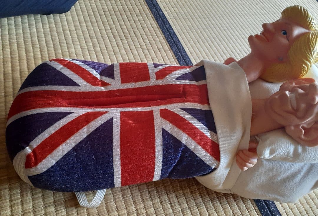 ダイアナ妃とチャールズ皇太子 ティッシュボックスカバー