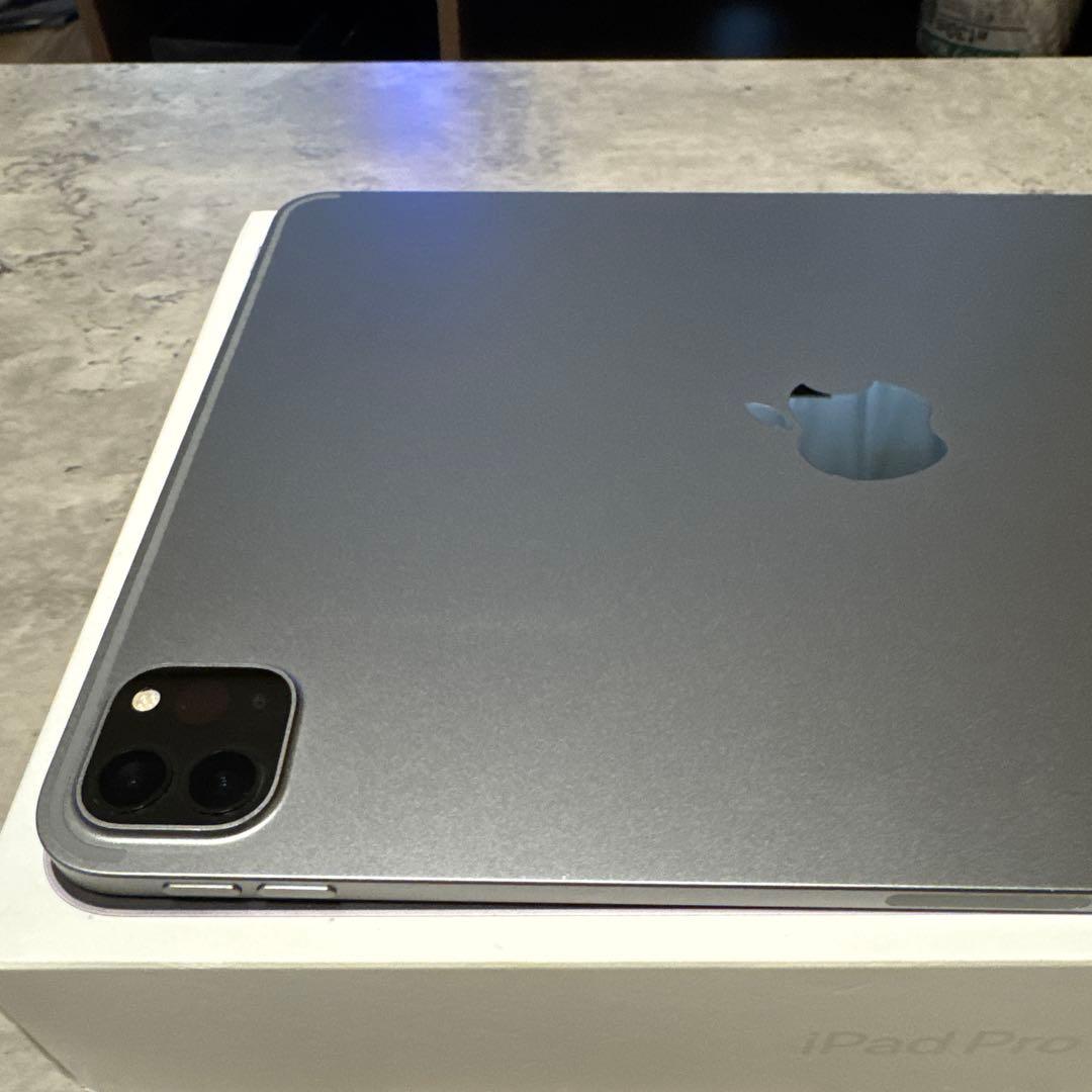 iPad Pro 第4世代 11インチ スペースグレイ 256GB 極美品