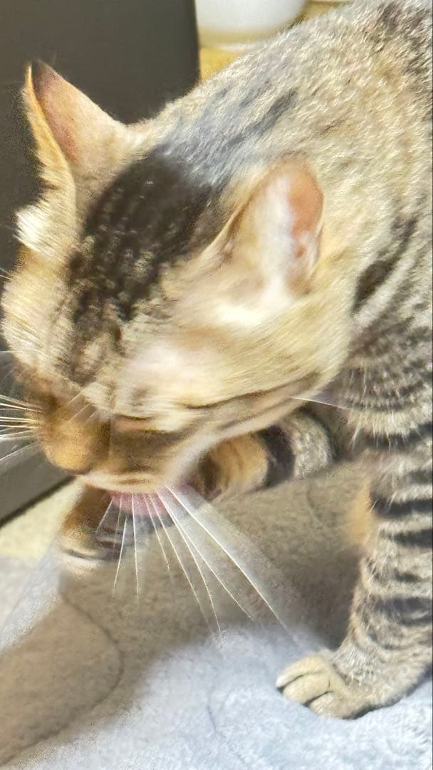 iPhone15ProMax ナチュラルチタニウム256GB 98%