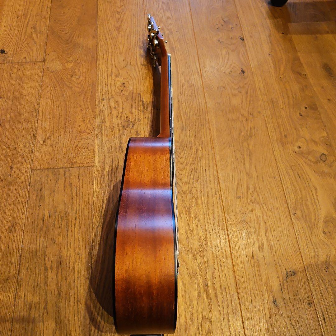 音音　gp1m e NTM アコースティックギターナイロン弦