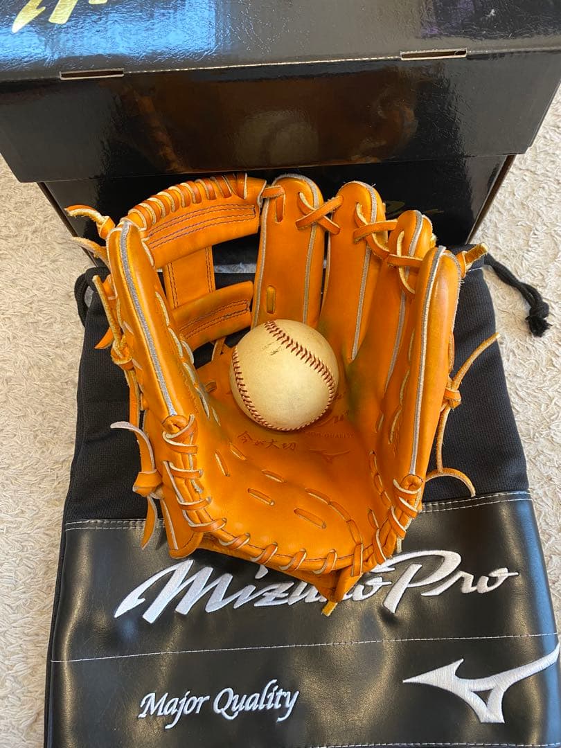 Mizuno Pro 硬式グローブ ミズノプロ　tm型