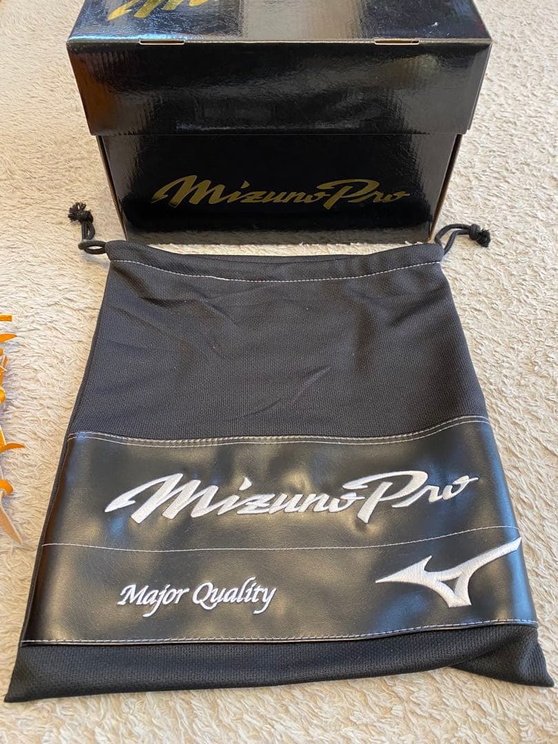 Mizuno Pro 硬式グローブ ミズノプロ　tm型