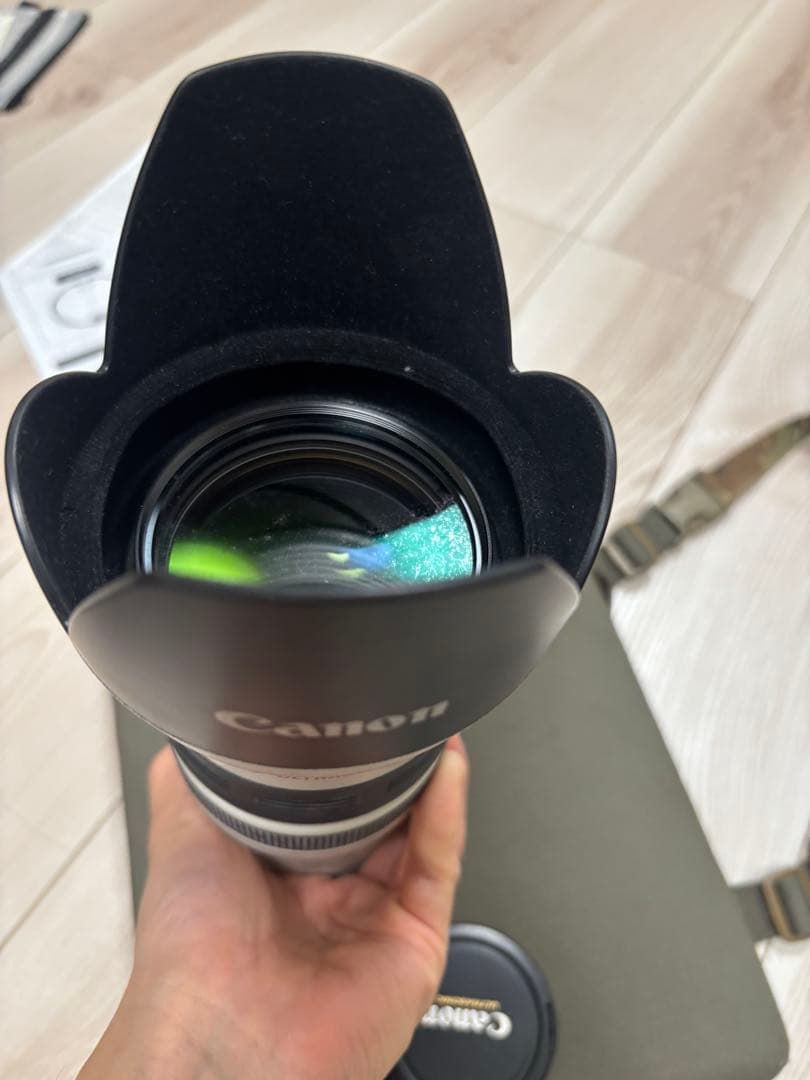 レンズ(ズーム) Canon EF 35-350mm F3.5-5.6 L USM