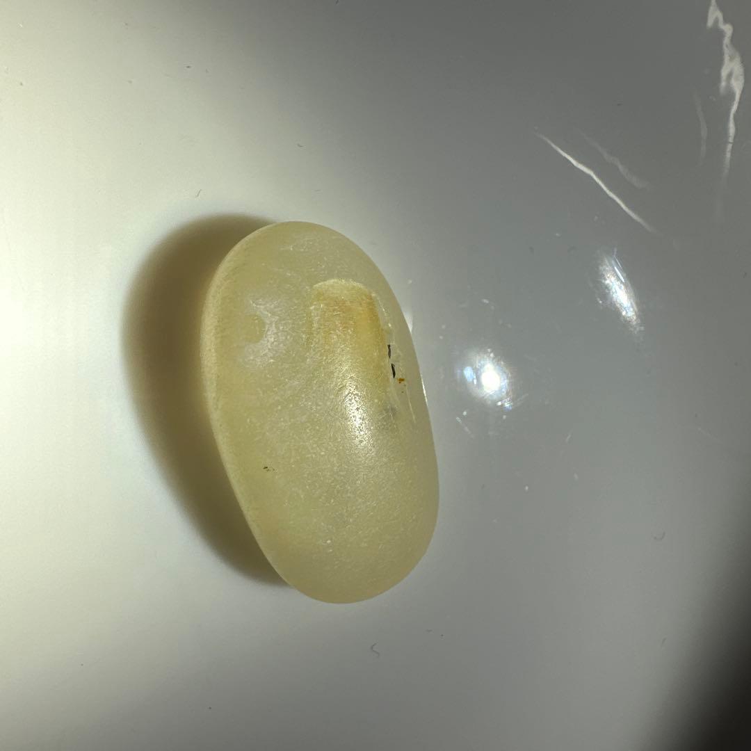 青森県をまるっと堪能できちゃう津軽塗の小箱＋赤いタコちゃんジャスパー付