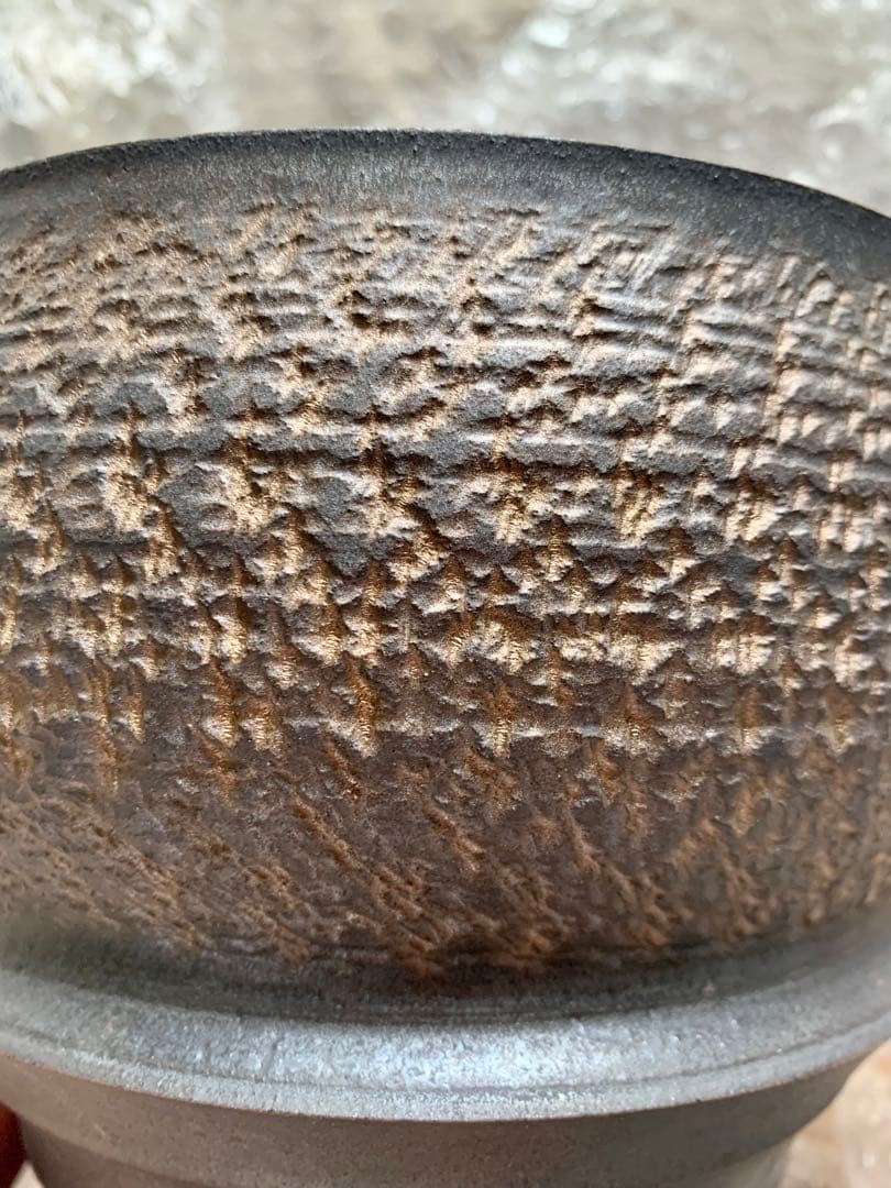 Goujin Botanize コラボ 豪人 大鉢 Lサイズ【新品未使用】希少