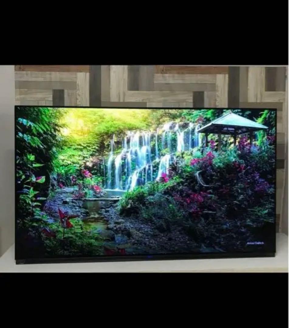 FUNAI4k有機EL65型HDD内蔵ネット動画可