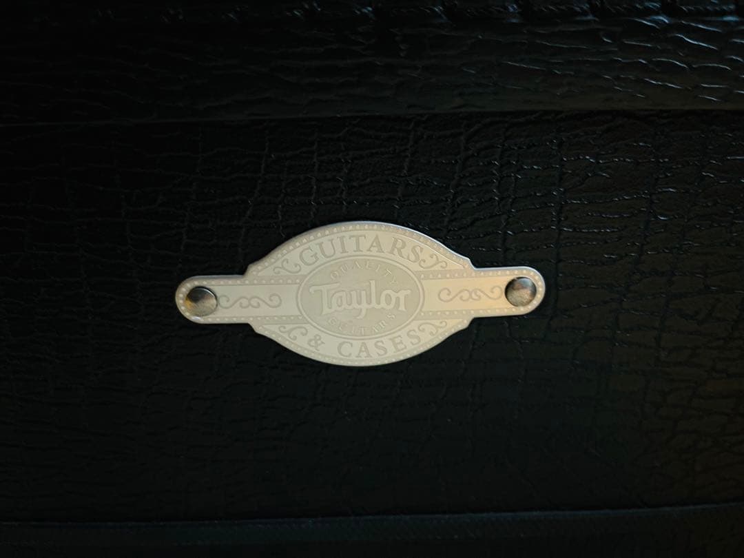 Taylor テイラー 314ce ES1