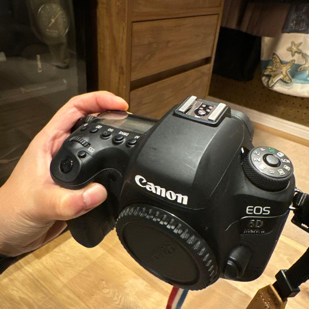 Canon EOS 6D MARK2 ボディ+バッテリーグリップ　おまけ有