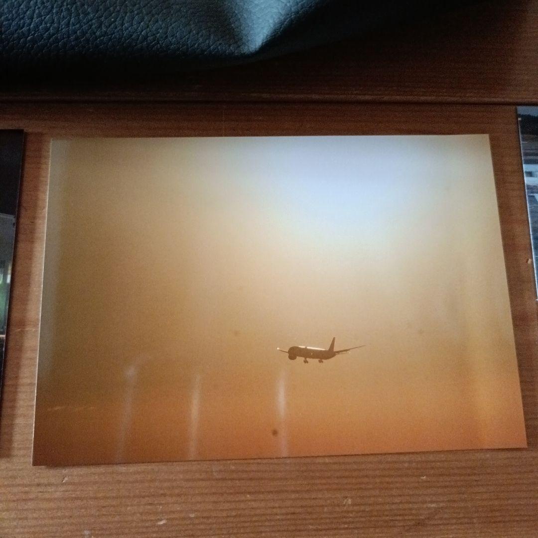 超望遠ズームレンズ SONY Eマウント対応 420-800mm