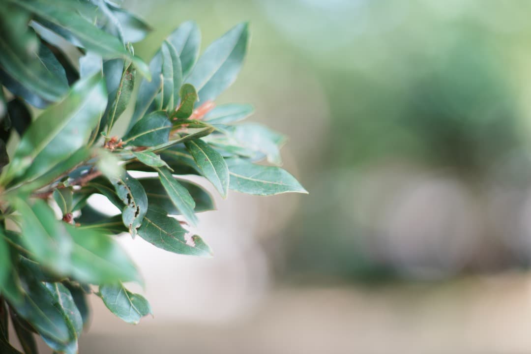 【極美品】動作◎ ニコン Ai-s Nikkor 85mm F1.4 257