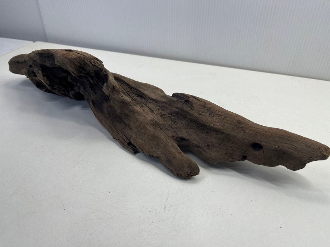 k42アク抜き済み流木 爬虫類シェルター レイアウト用 インテリア エアプランツ