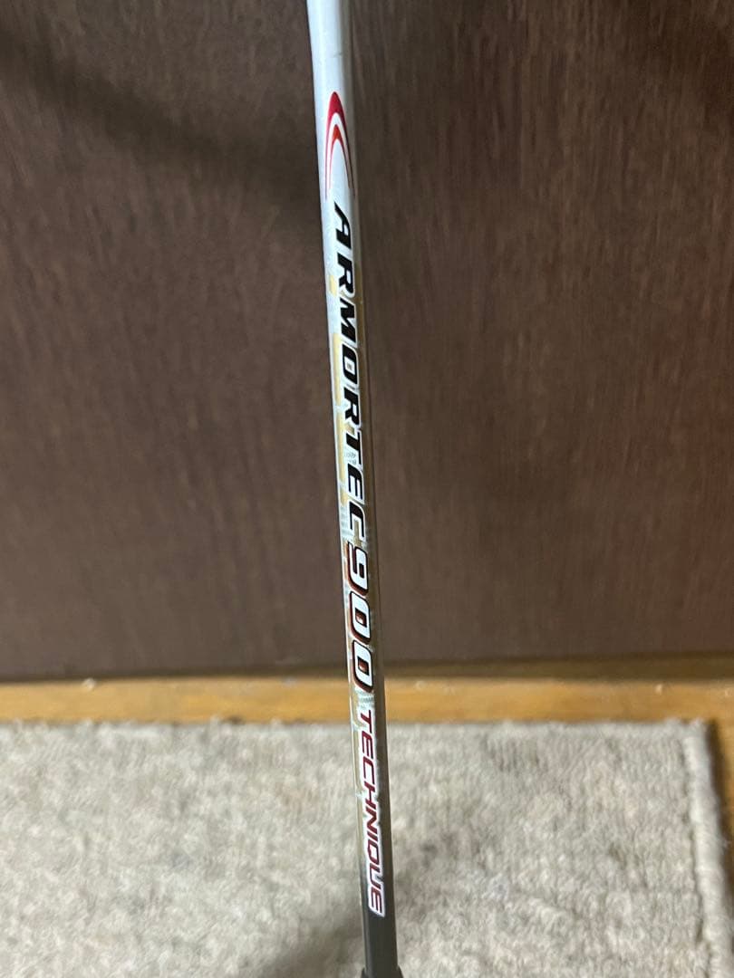 ARMORTEC900 TECHNIQUE GRAPHREX813 2本セット