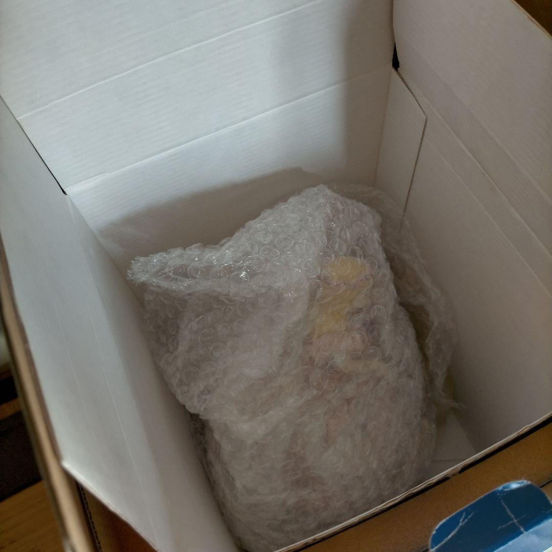 アイリッシュドレスデンリカちゃん　激レア