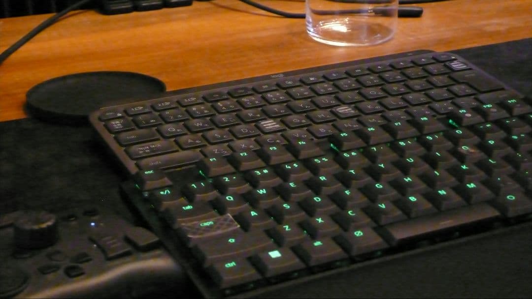 【ゲッコー】　Leica D-LUX3