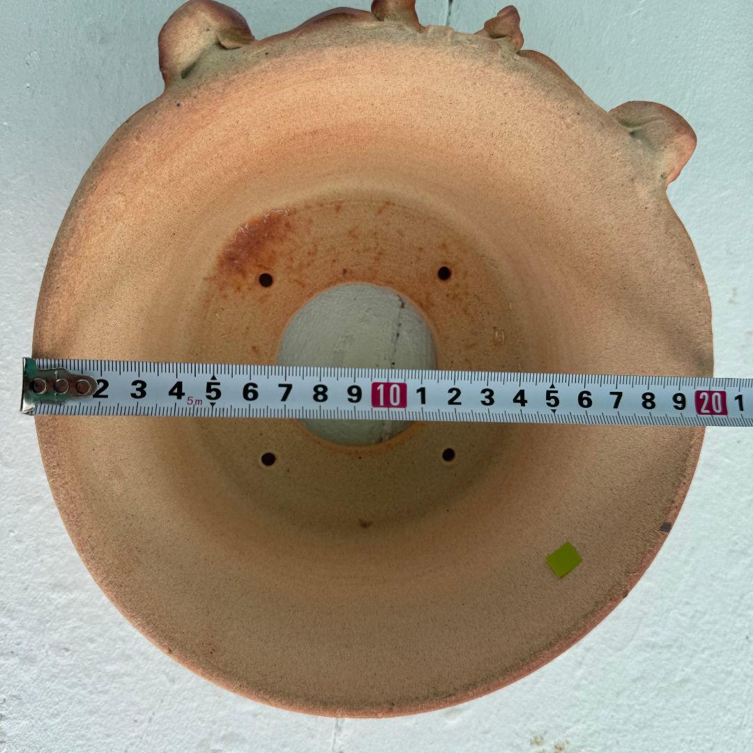 陶器　観葉植物　アガベ　パキプス　Japan　history　Art　盆栽　日本