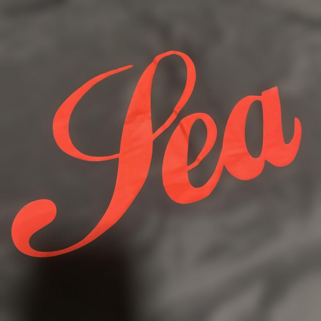 H*★様 新品未使用品　WIND AND SEA ブラック コーチジャケット L