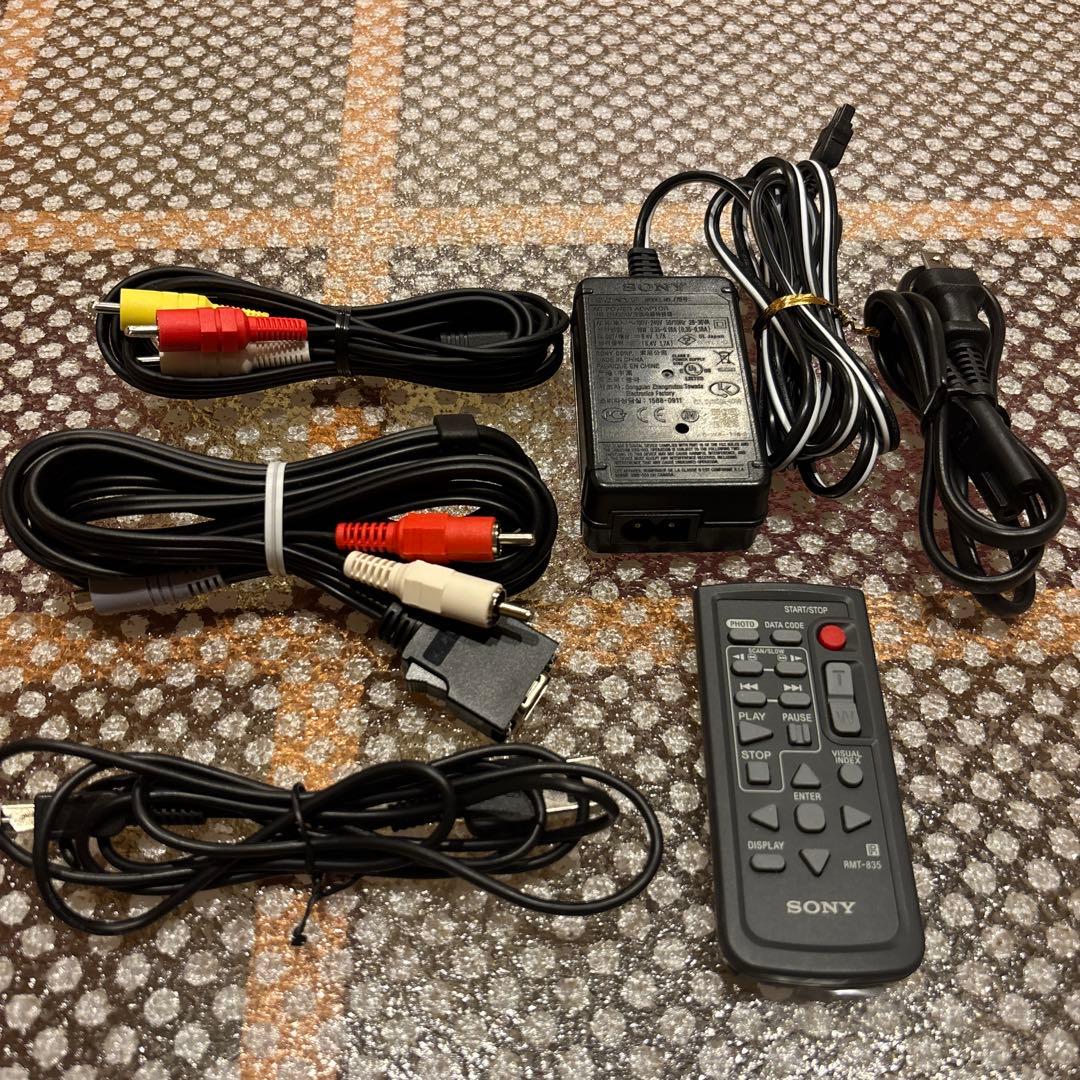 ビデオカメラ SONY HANDYCAM HDR-CX550V