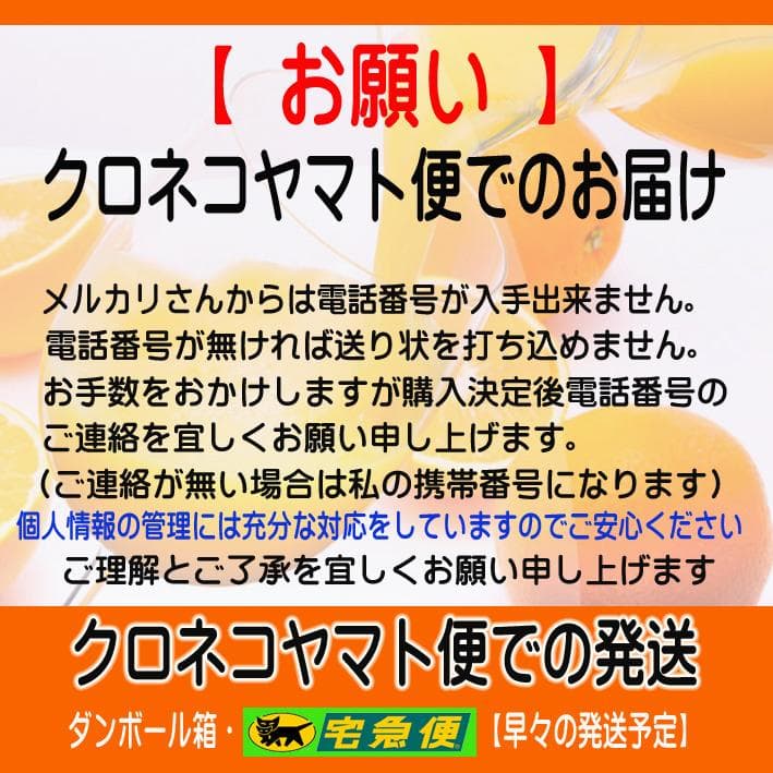 濃縮還元してない・みかんジュース1000ｍｌ×12本　濃厚美味！