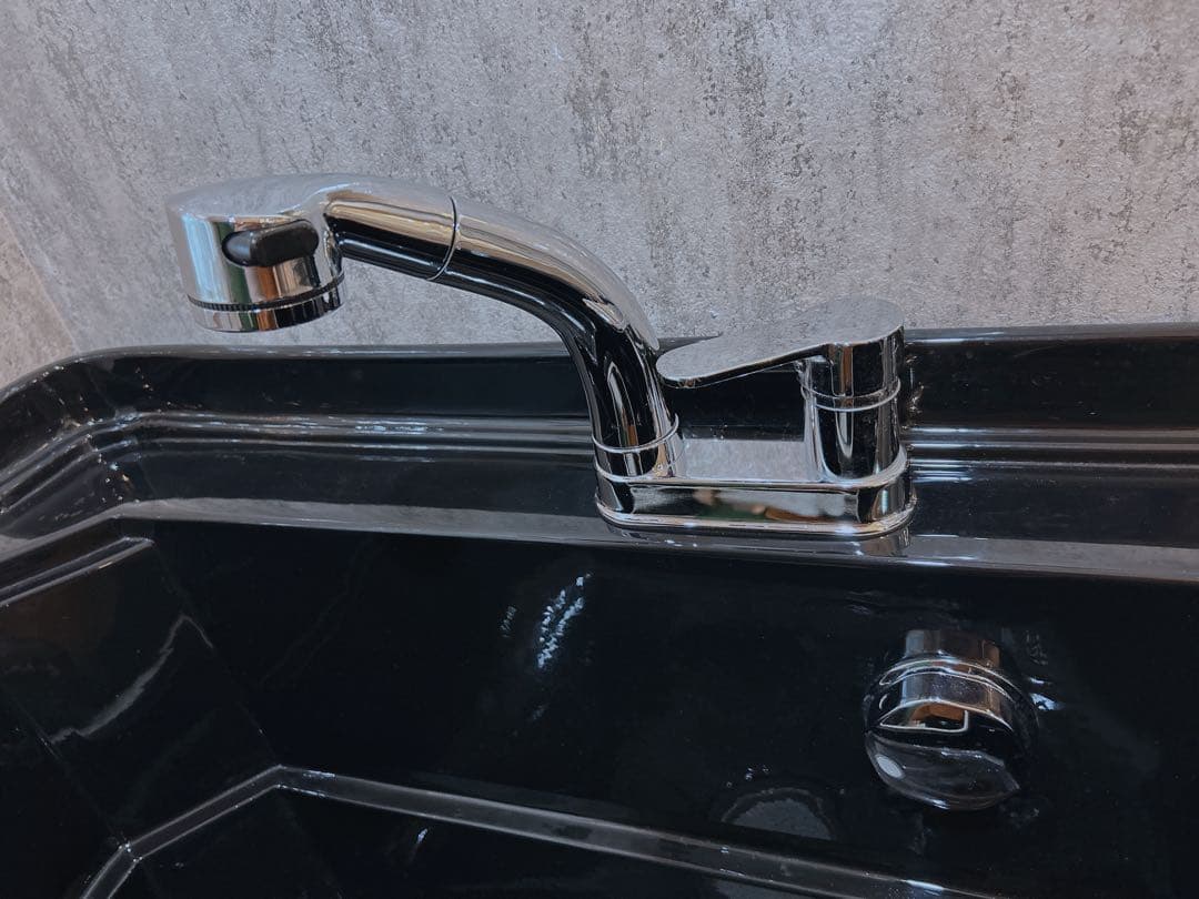 ペット用バス、ドッグバス